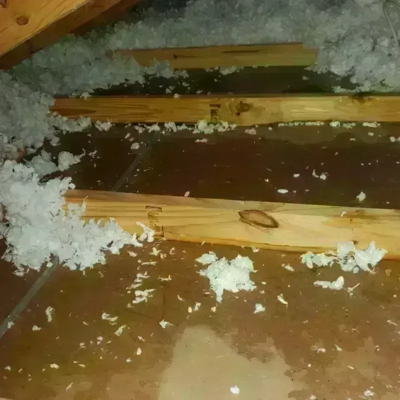 Attic Water Damage in Westway, TX