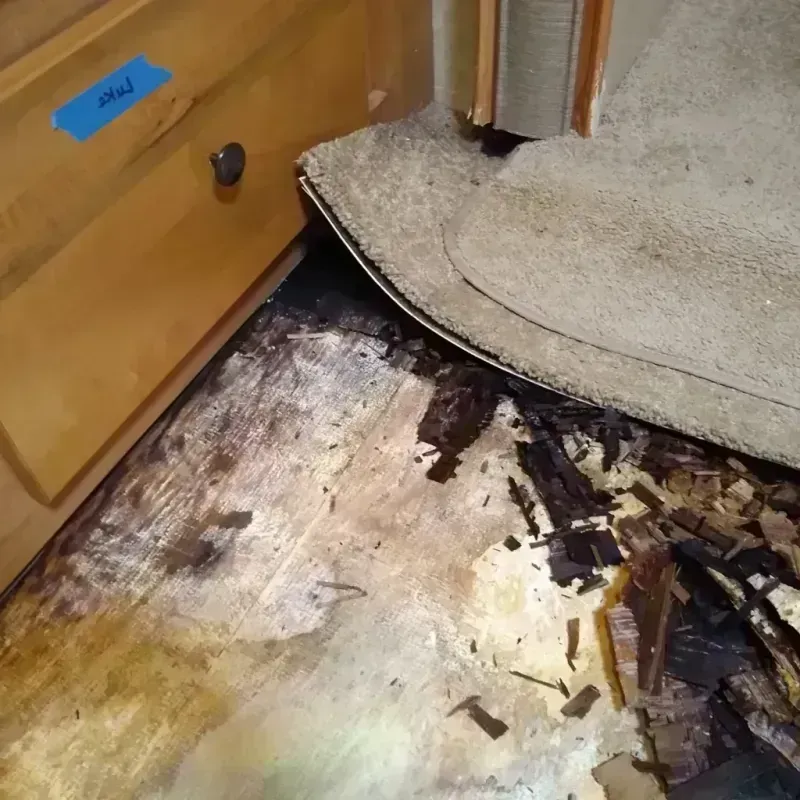 Best Wood Floor Water Damage Service in Westway, TX